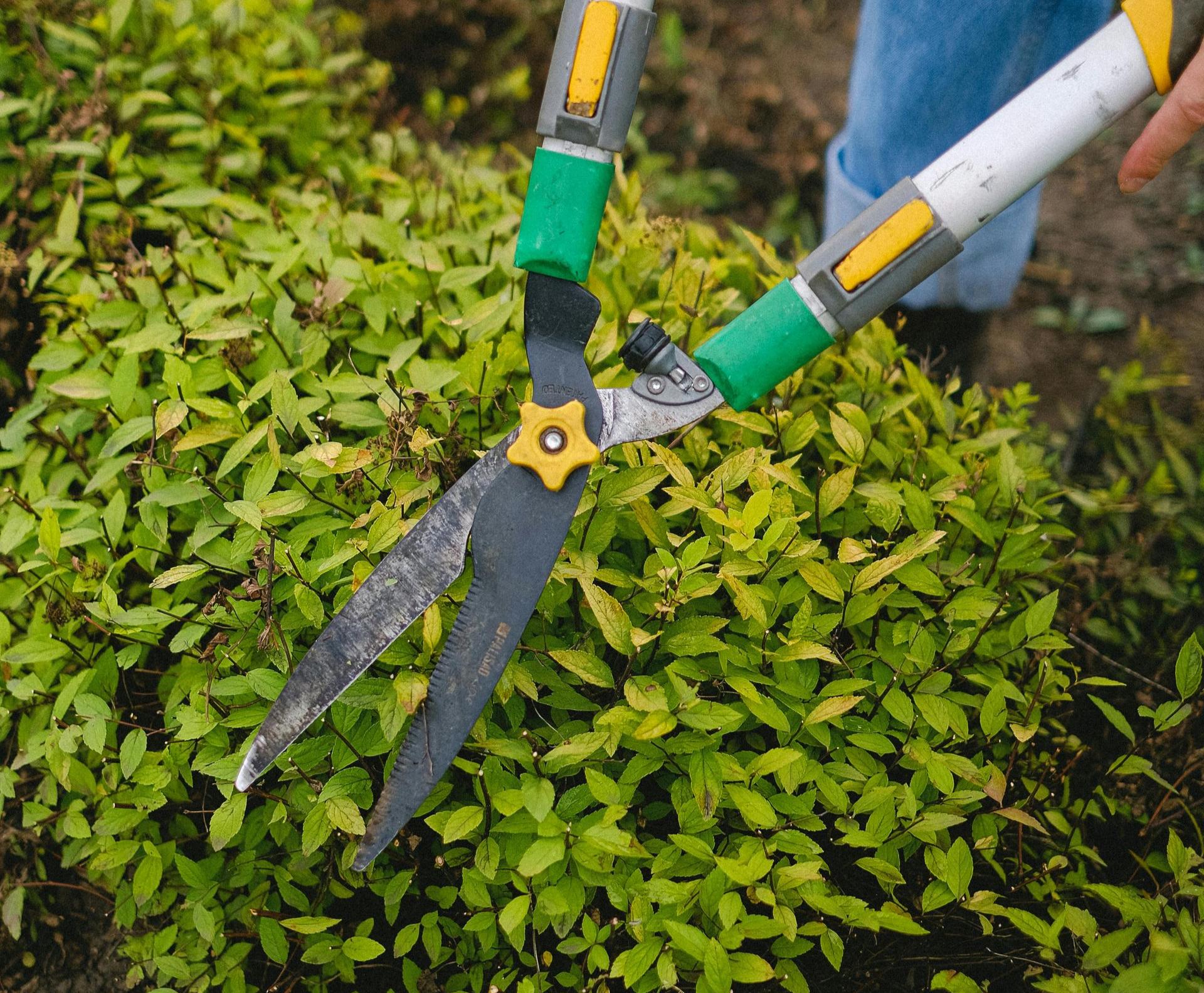 Houston Landscaping Company, Landscape Design, Landscaper Near Me, Hardscaping, Retaining Walls, Outdoor Kitchen Builds, Outdoor Kitchen Installations, Pergola Builds, Pergola Installations, Tree Planting, Bush Planting, TurfCraft Innovations, Houston TX, River Oaks Houston TX, Memorial Park Houston TX, Montrose Houston TX, Houston Heights Houston TX, Hunters Creek Village TX, Katy TX, West University Place TX, Tomball TX, Louetta TX, Spring TX, Westfield TX, Humble TX, Porter TX, Cypress TX, Sugar Land TX, Fresno TX, Pearland TX, Pasadena TX, Friendswood TX, Artificial Turf Company, Artificial Turf Company Near Me, Artificial Turf Installation, Residential Artificial Turf Installation, Commercial Artificial Turf Installation, Artificial Turf Installation, Houston Artificial Turf Company, Hunters Creek Village Artificial Turf Company, Katy Artificial Turf Company, Tomball Artificial Turf Company, Louetta Artificial Turf Company, Spring Artificial Turf Company, Westfield Artificial Turf Company, Humble Artificial Turf Company, Porter Artificial Turf Company, Cypress Artificial Turf Company, Sugar Land Artificial Turf Company, Fresno Artificial Turf Company, Pearland Artificial Turf Company, Pasadena Artificial Turf Company, Friendswood Artificial Turf Company, Gravel Installation, Residential Gravel Installation, Commercial Gravel Installation, Gravel Company Near Me, Houston Gravel Company, Hunters Creek Village Gravel Company, Katy Gravel Company, Tomball Gravel Company, Louetta Gravel Company, Spring Gravel Company, Westfield Gravel Company, Humble Gravel Company, Porter Gravel Company, Cypress Gravel Company, Sugar Land Gravel Company, Fresno Gravel Company, Pearland Gravel Company, Pasadena Gravel Company, Friendswood Gravel Company, Paver Installation, Residential Paver Installation, Commercial Paver Installation, Paver Company Near Me, Houston Paver Company, Hunters Creek Village Paver Company, Katy Paver Company, Tomball Paver Company, Louetta Paver Company, Spring Paver Company, Westfield Paver Company, Humble Paver Company, Porter Paver Company, Cypress Paver Company, Sugar Land Paver Company, Fresno Paver Company, Pearland Paver Company, Pasadena Paver Company, Friendswood Paver Company, Driveway Pavers, Walkway Pavers, Patio Pavers