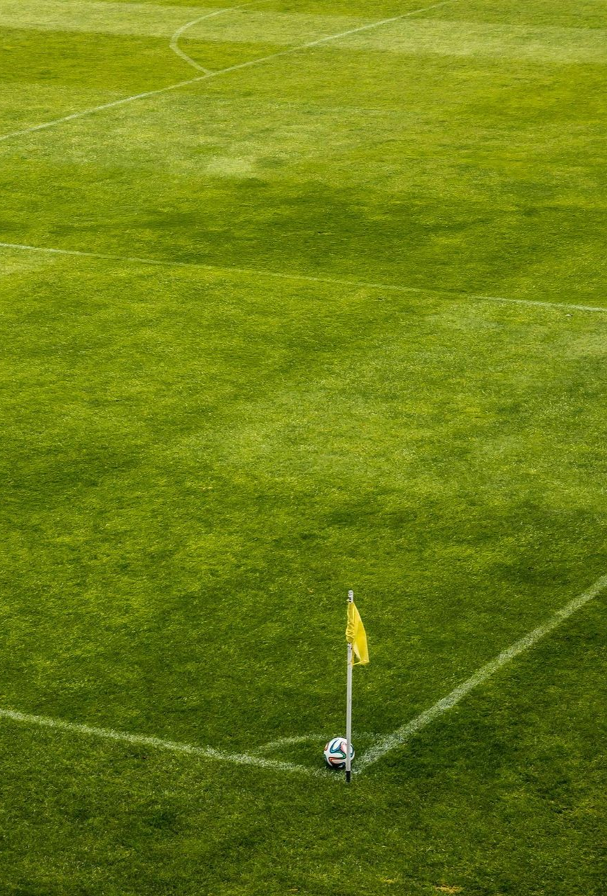 Houston Landscaping Company, Landscape Design, Landscaper Near Me, Hardscaping, Retaining Walls, Outdoor Kitchen Builds, Outdoor Kitchen Installations, Pergola Builds, Pergola Installations, Tree Planting, Bush Planting, TurfCraft Innovations, Houston TX, River Oaks Houston TX, Memorial Park Houston TX, Montrose Houston TX, Houston Heights Houston TX, Hunters Creek Village TX, Katy TX, West University Place TX, Tomball TX, Louetta TX, Spring TX, Westfield TX, Humble TX, Porter TX, Cypress TX, Sugar Land TX, Fresno TX, Pearland TX, Pasadena TX, Friendswood TX, Artificial Turf Company, Artificial Turf Company Near Me, Artificial Turf Installation, Residential Artificial Turf Installation, Commercial Artificial Turf Installation, Artificial Turf Installation, Houston Artificial Turf Company, Hunters Creek Village Artificial Turf Company, Katy Artificial Turf Company, Tomball Artificial Turf Company, Louetta Artificial Turf Company, Spring Artificial Turf Company, Westfield Artificial Turf Company, Humble Artificial Turf Company, Porter Artificial Turf Company, Cypress Artificial Turf Company, Sugar Land Artificial Turf Company, Fresno Artificial Turf Company, Pearland Artificial Turf Company, Pasadena Artificial Turf Company, Friendswood Artificial Turf Company, Gravel Installation, Residential Gravel Installation, Commercial Gravel Installation, Gravel Company Near Me, Houston Gravel Company, Hunters Creek Village Gravel Company, Katy Gravel Company, Tomball Gravel Company, Louetta Gravel Company, Spring Gravel Company, Westfield Gravel Company, Humble Gravel Company, Porter Gravel Company, Cypress Gravel Company, Sugar Land Gravel Company, Fresno Gravel Company, Pearland Gravel Company, Pasadena Gravel Company, Friendswood Gravel Company, Paver Installation, Residential Paver Installation, Commercial Paver Installation, Paver Company Near Me, Houston Paver Company, Hunters Creek Village Paver Company, Katy Paver Company, Tomball Paver Company, Louetta Paver Company, Spring Paver Company, Westfield Paver Company, Humble Paver Company, Porter Paver Company, Cypress Paver Company, Sugar Land Paver Company, Fresno Paver Company, Pearland Paver Company, Pasadena Paver Company, Friendswood Paver Company, Driveway Pavers, Walkway Pavers, Patio Pavers