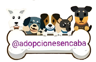 Logotipo: Monograma “LA” color verde azulado sobre texto “Lidia Aguirre Contadora Pública”.