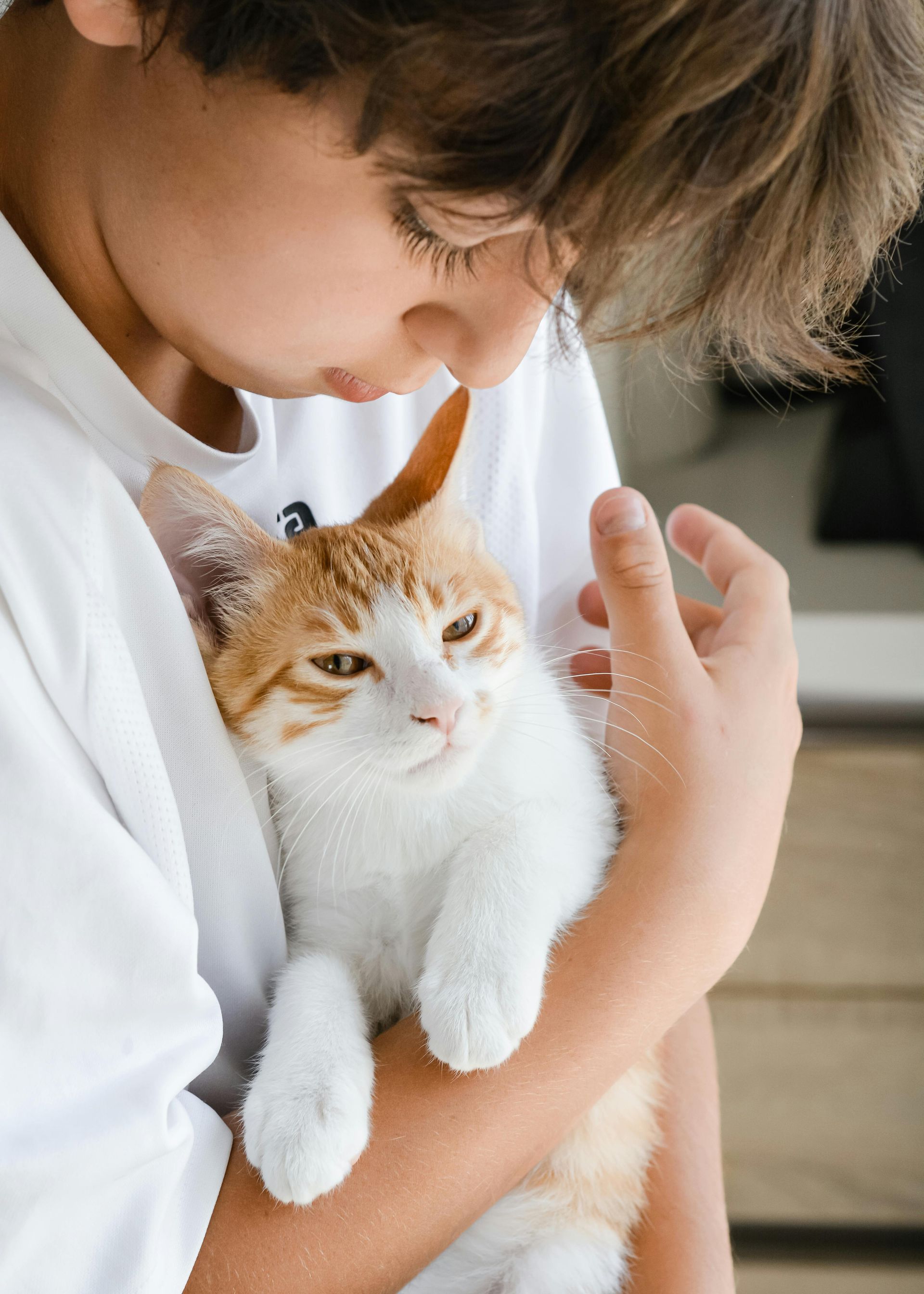 Niño sosteniendo un gato naranja y blanco, con la cara cerca y ambos mirando hacia abajo.