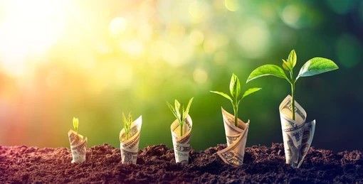 growing bar graph with dollar bills sprouting like plants
