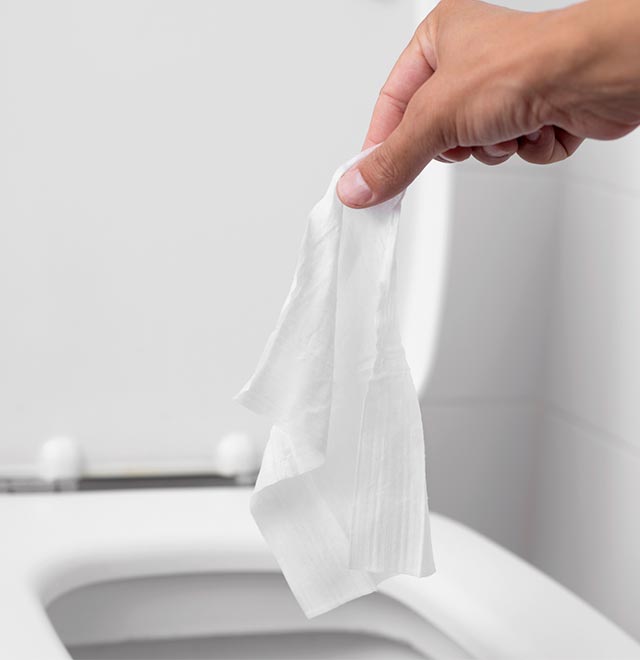 Throwing Tissue on Toilet — Traverse City, MI — Belanger Septic Security Sanitation
