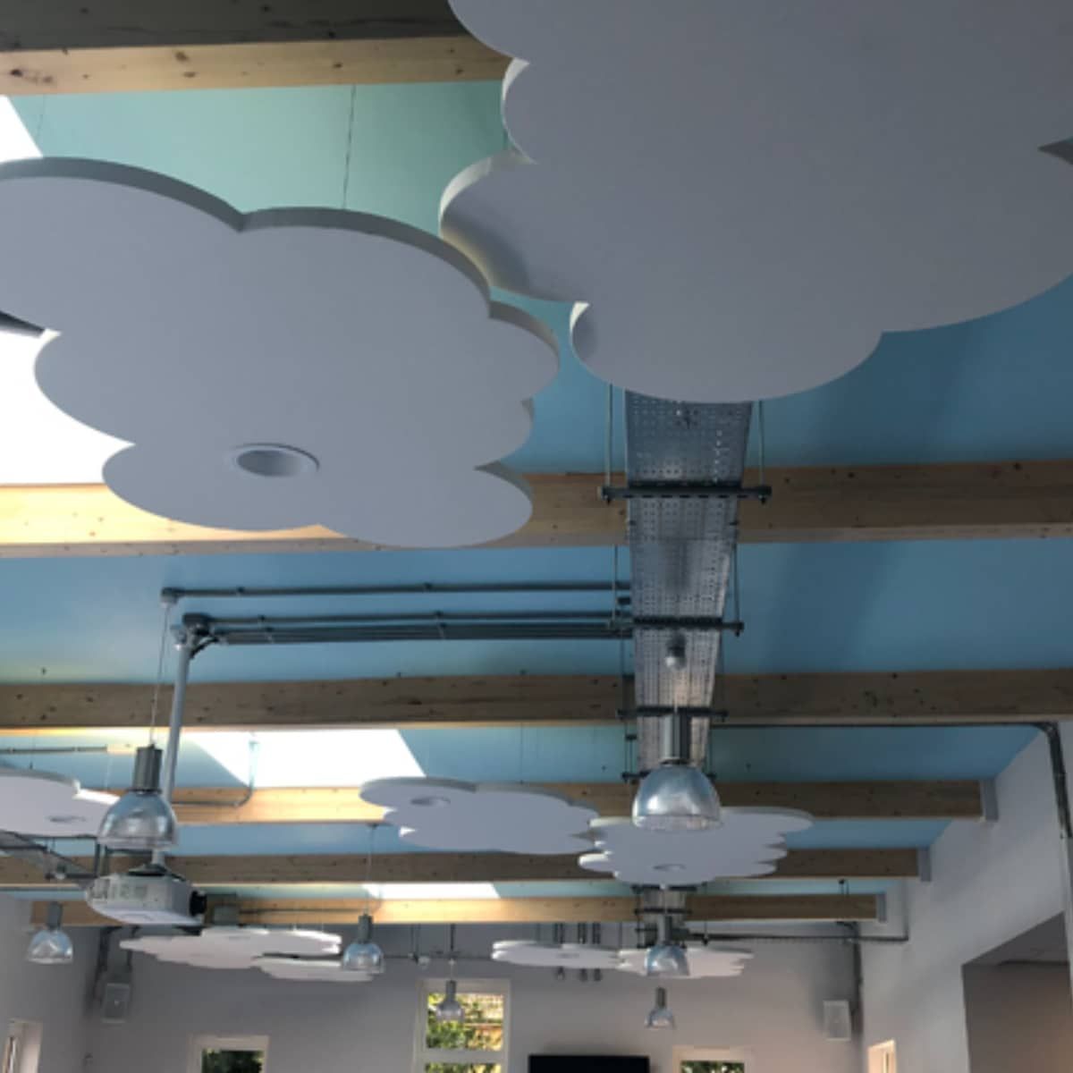 ProSound Acoustic Ceiling Rafts