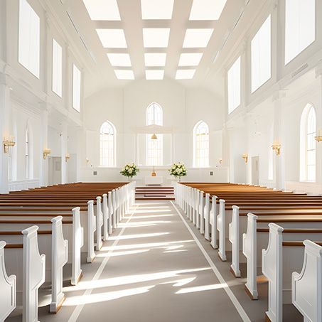 ProSound Acoustic Wall Panels and Ceiling Rafts