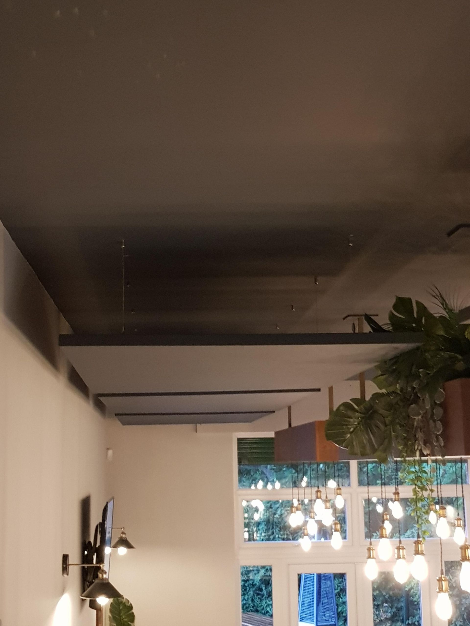 ProSound Acoustic Ceiling Rafts