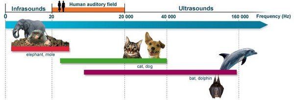Noise perception chart