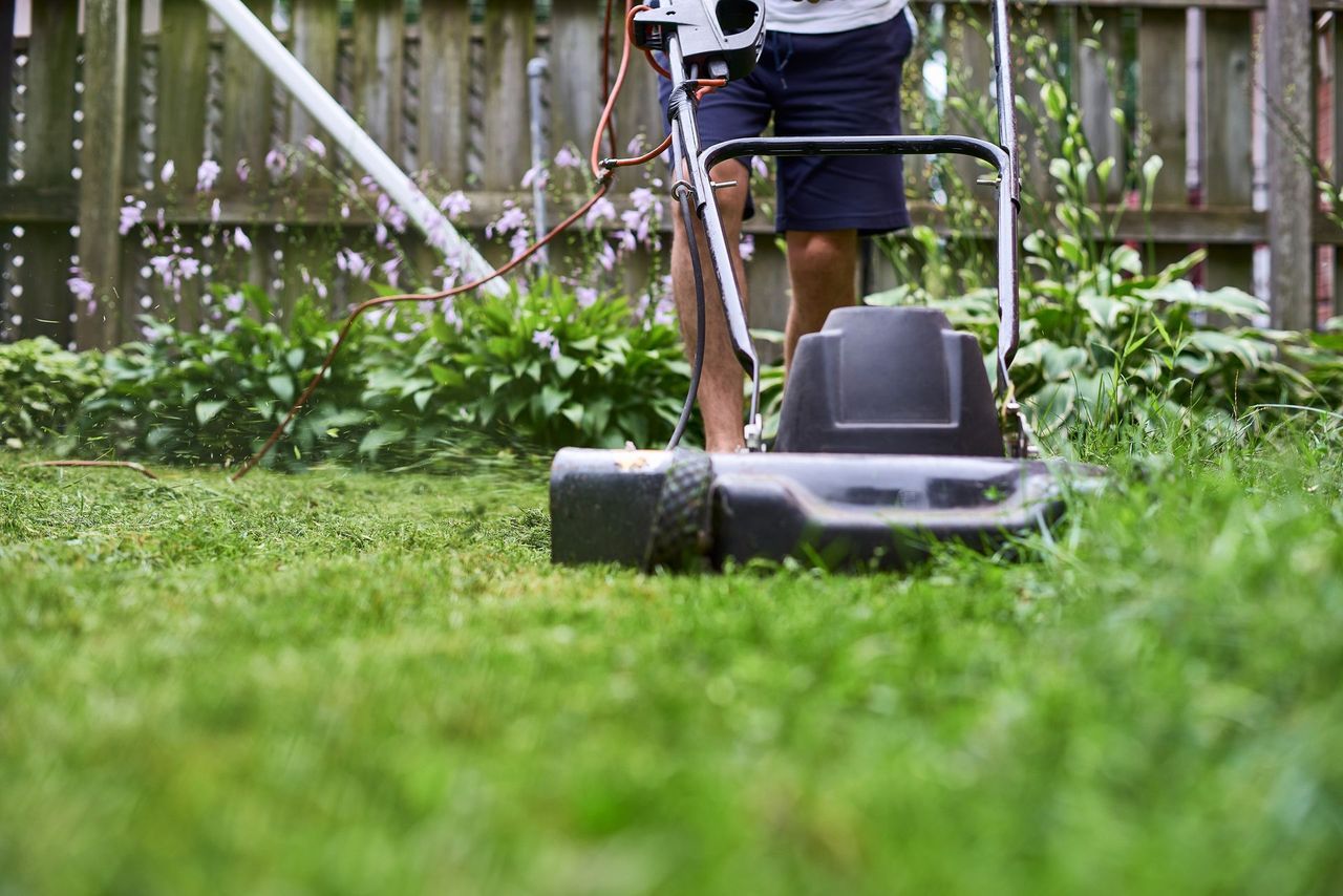 5-Step Lawn Care Program
