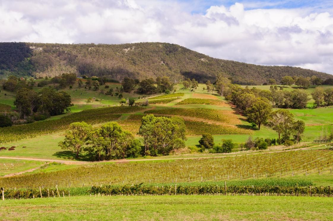 A Lush Green Field With Trees And A Mountain In The Background — Premier Bricks, Blocks & Pavers In Cessnock, NSW