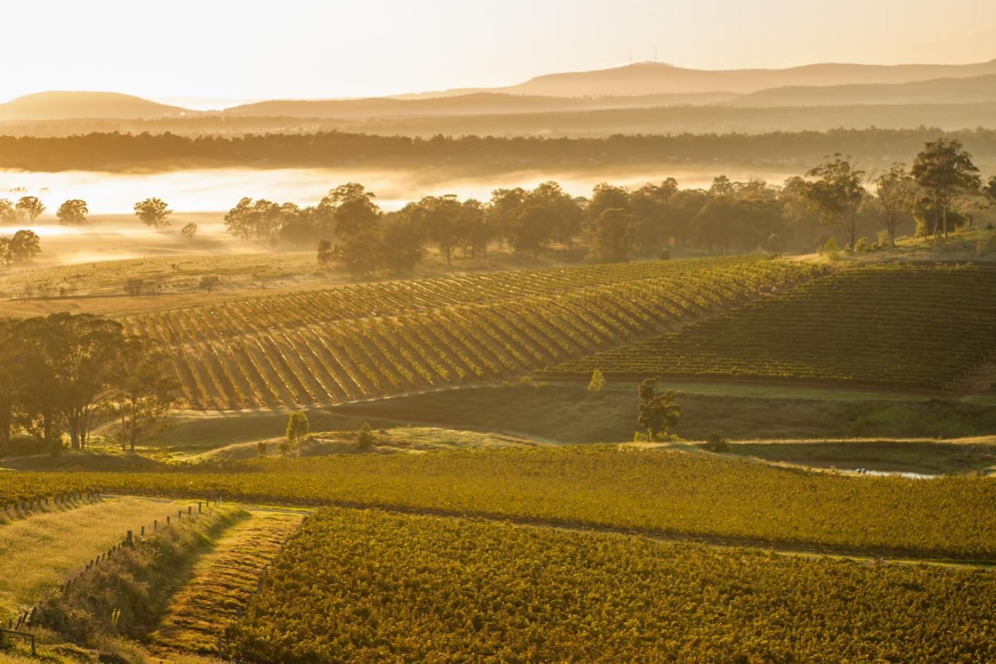 An Aerial View Of A Vineyard At Sunset With Mountains In The Background — Premier Bricks, Blocks & Pavers In Cessnock, NSW