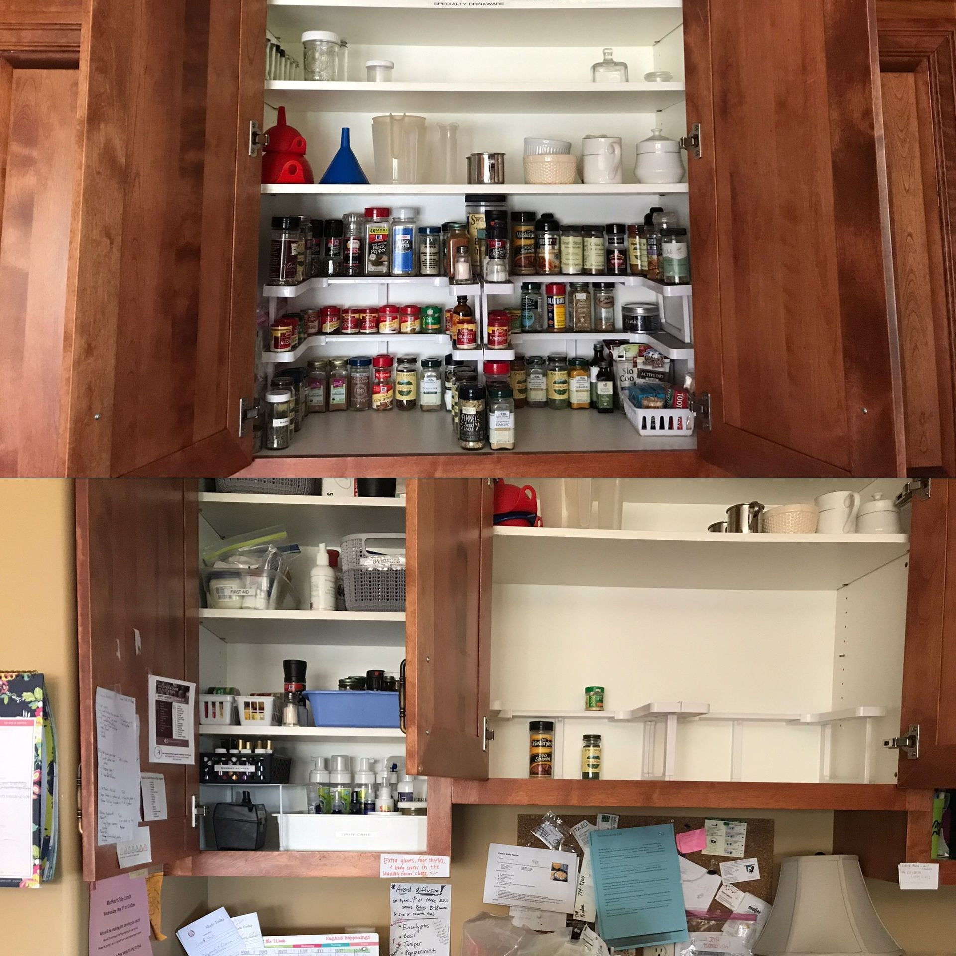 The inside of a kitchen cabinet filled with spices and condiments