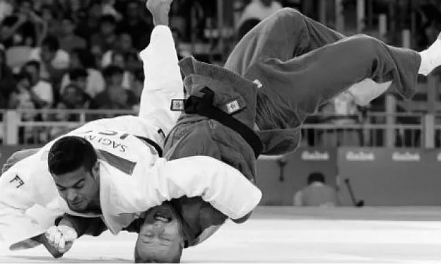 Professional Judo Match