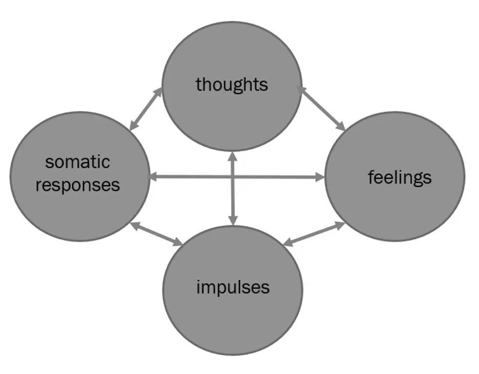 Circle Diagram of Anatomy of Emotion
