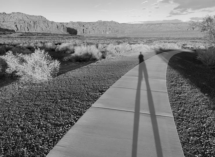 Shadow of the Man on the Pathway