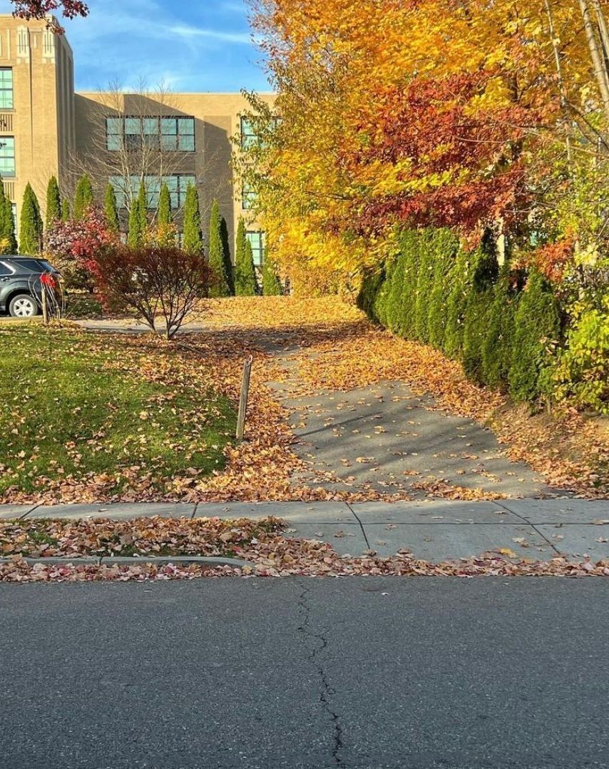A sidewalk with leaves on it and a building in the background.