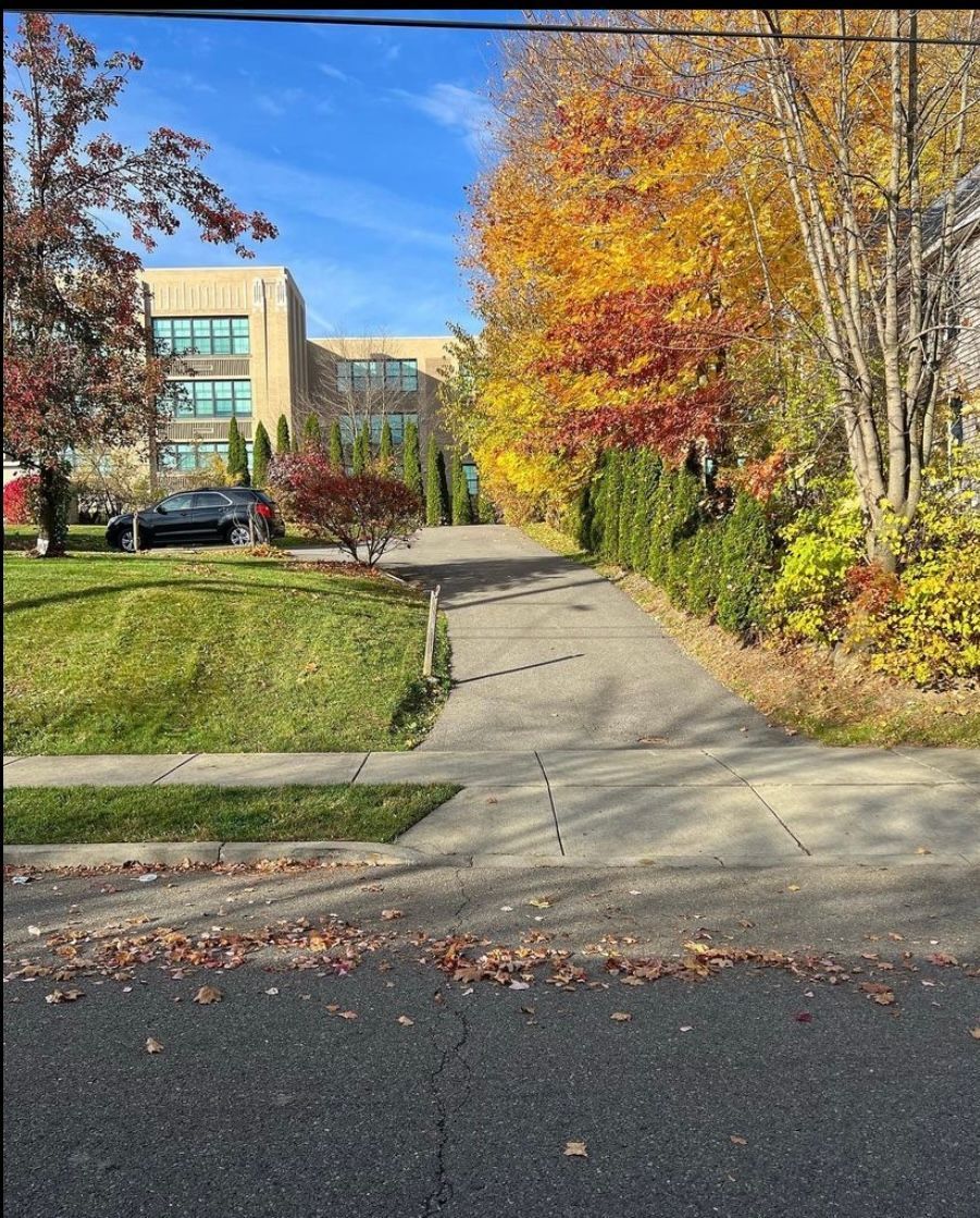 A driveway with trees on both sides and a building in the background