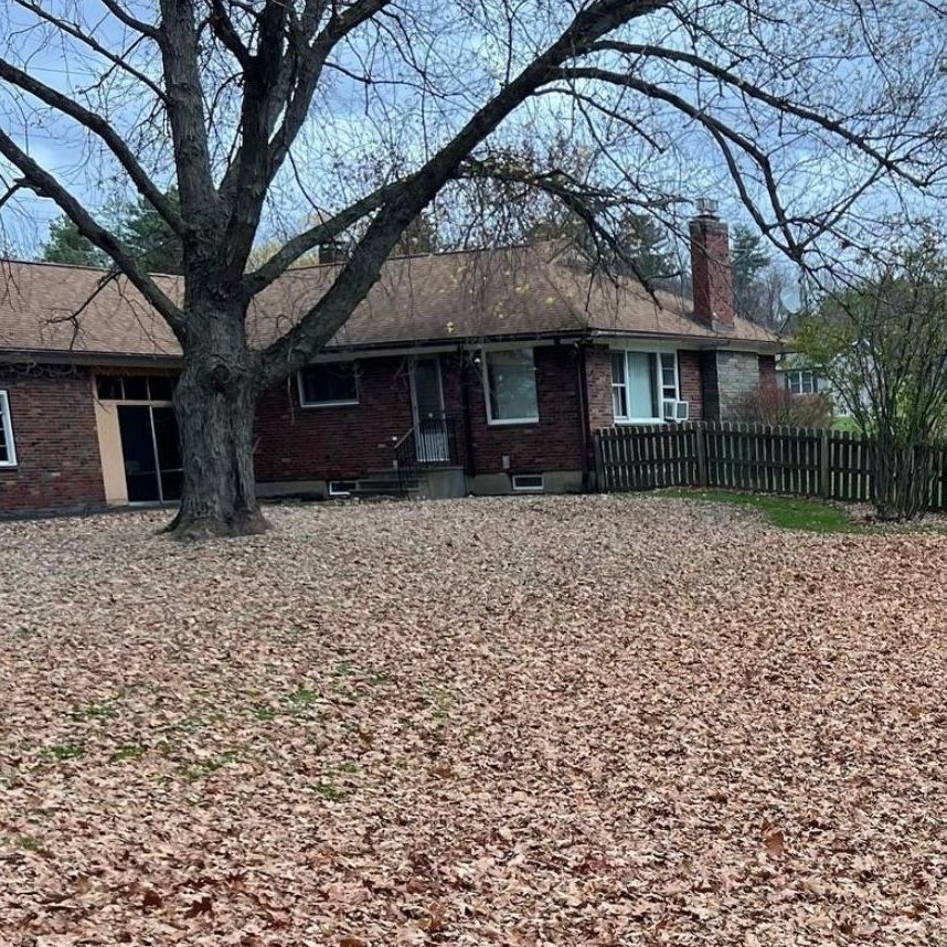 A house with a tree in front of it and a lot of leaves on the ground