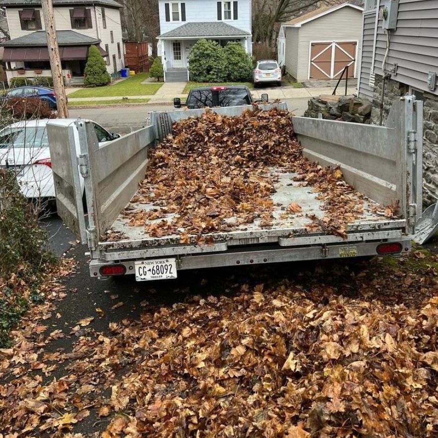 A trailer is full of leaves and has a license plate that says tc-mtn
