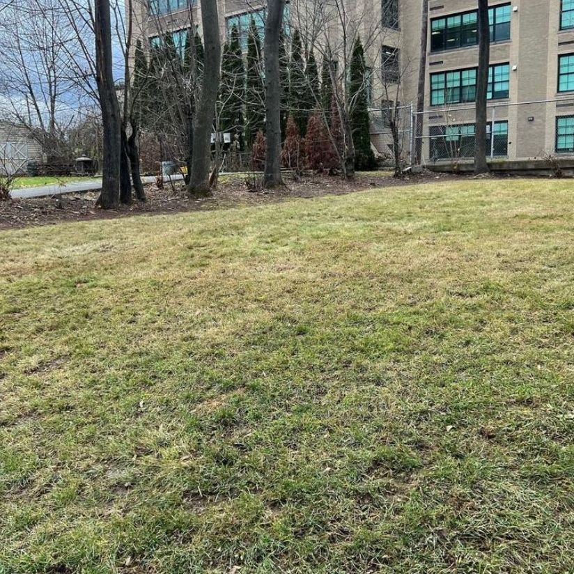 A large grassy field in front of a building with trees in the background.