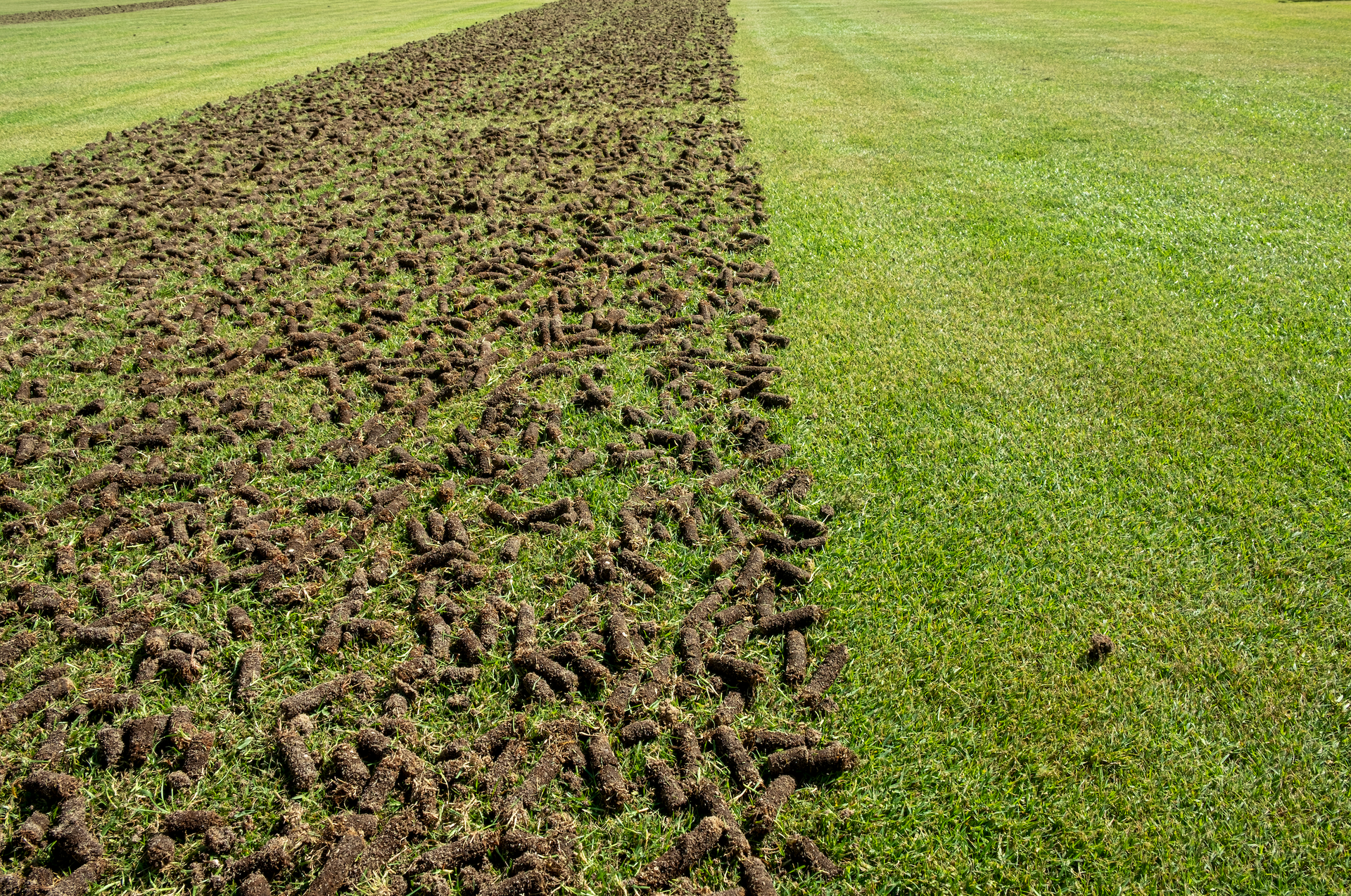 A field with a lot of dirt and grass on it