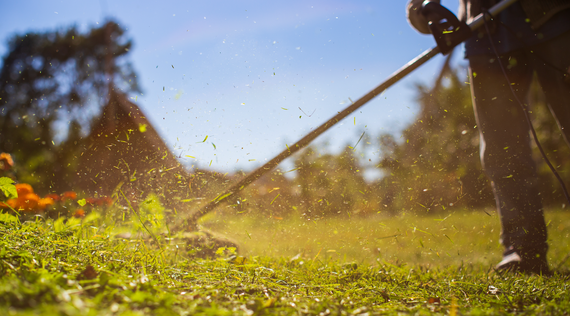 A person is using a lawn mower to cut grass in a yard.