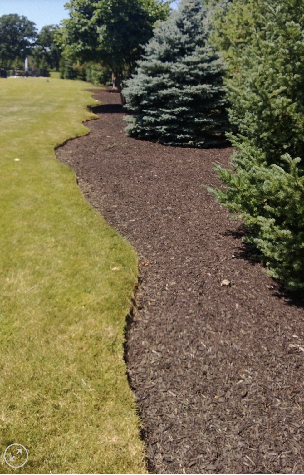 A lawn with a lot of mulch and trees in the background.