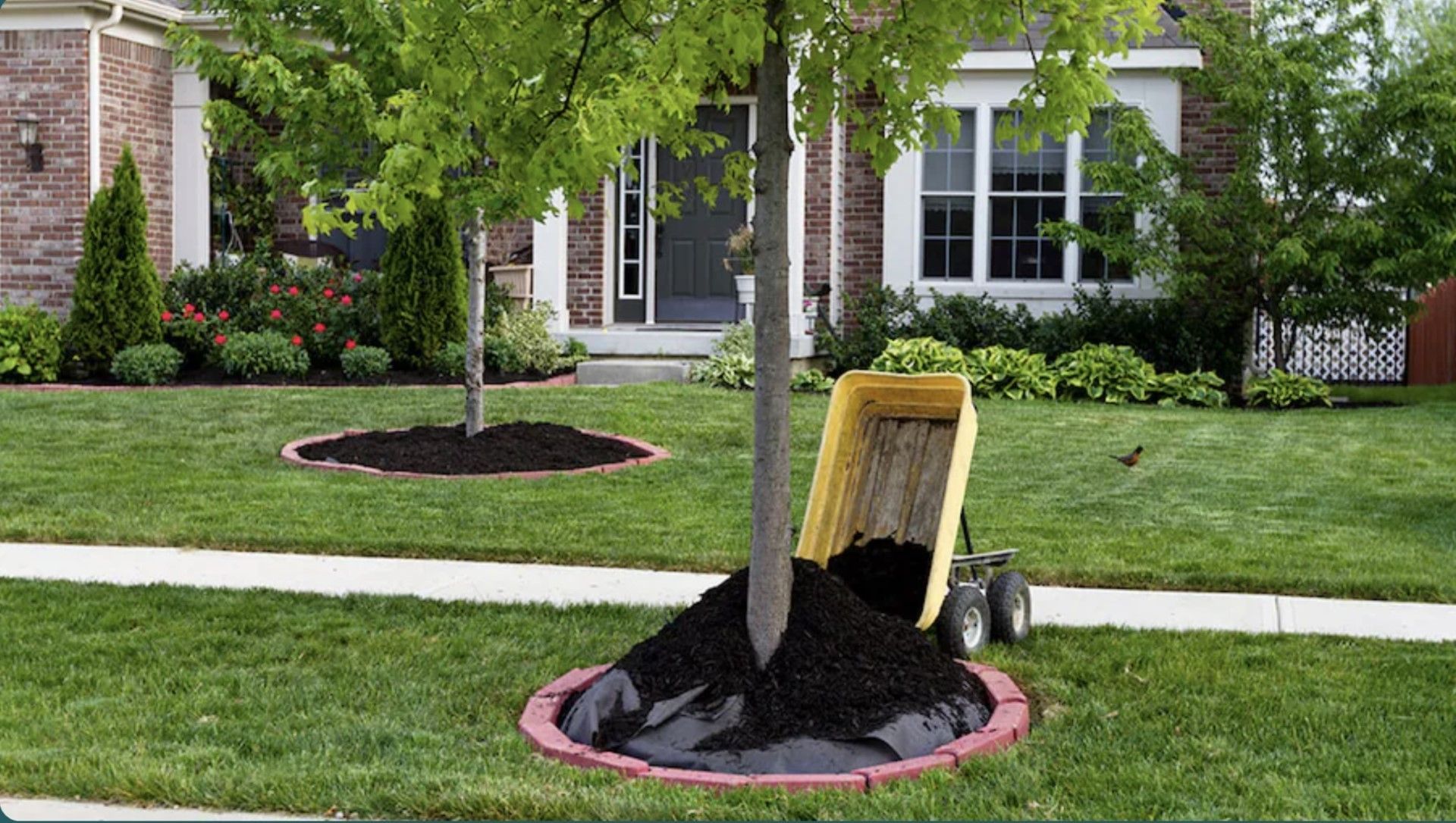 A tree is being mulched in front of a house.