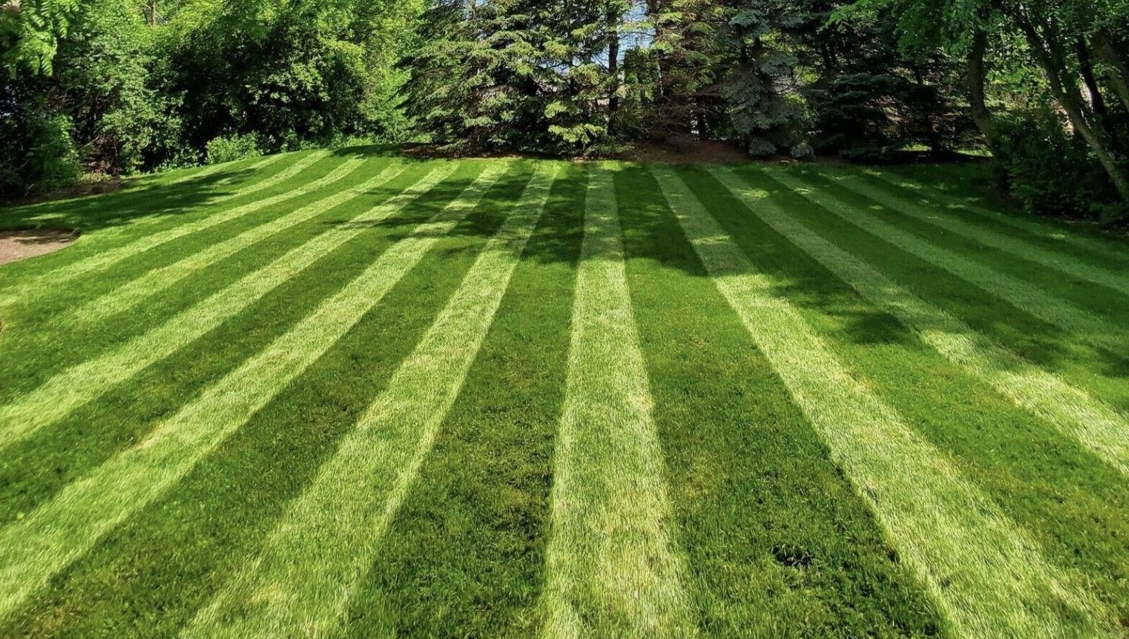 A lush green lawn with striped grass and trees in the background.