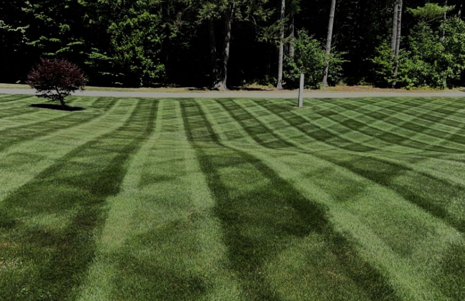 A lush green lawn with striped grass and trees in the background.