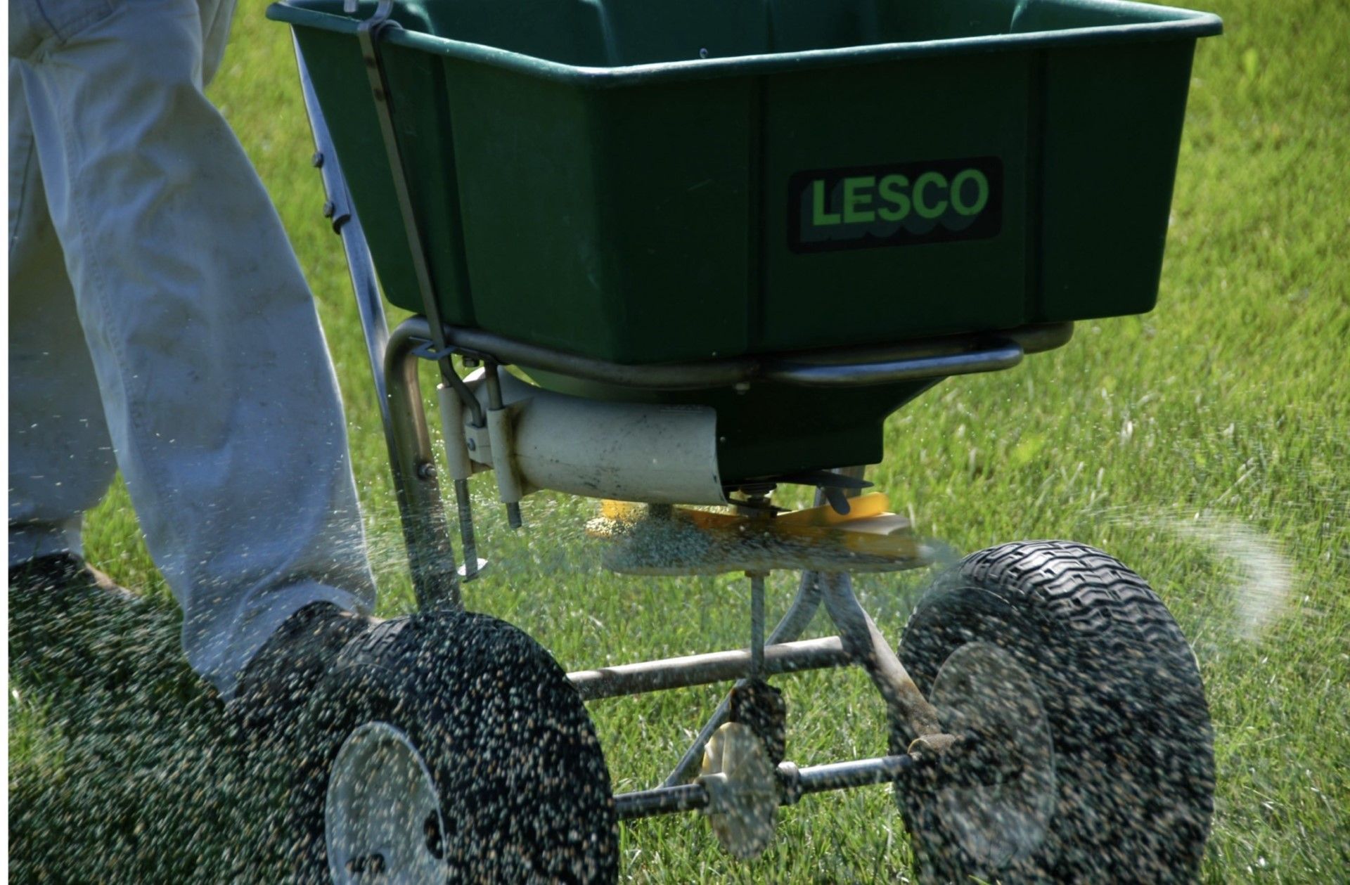 A person is using a lesco spreader to spread fertilizer on a lush green lawn