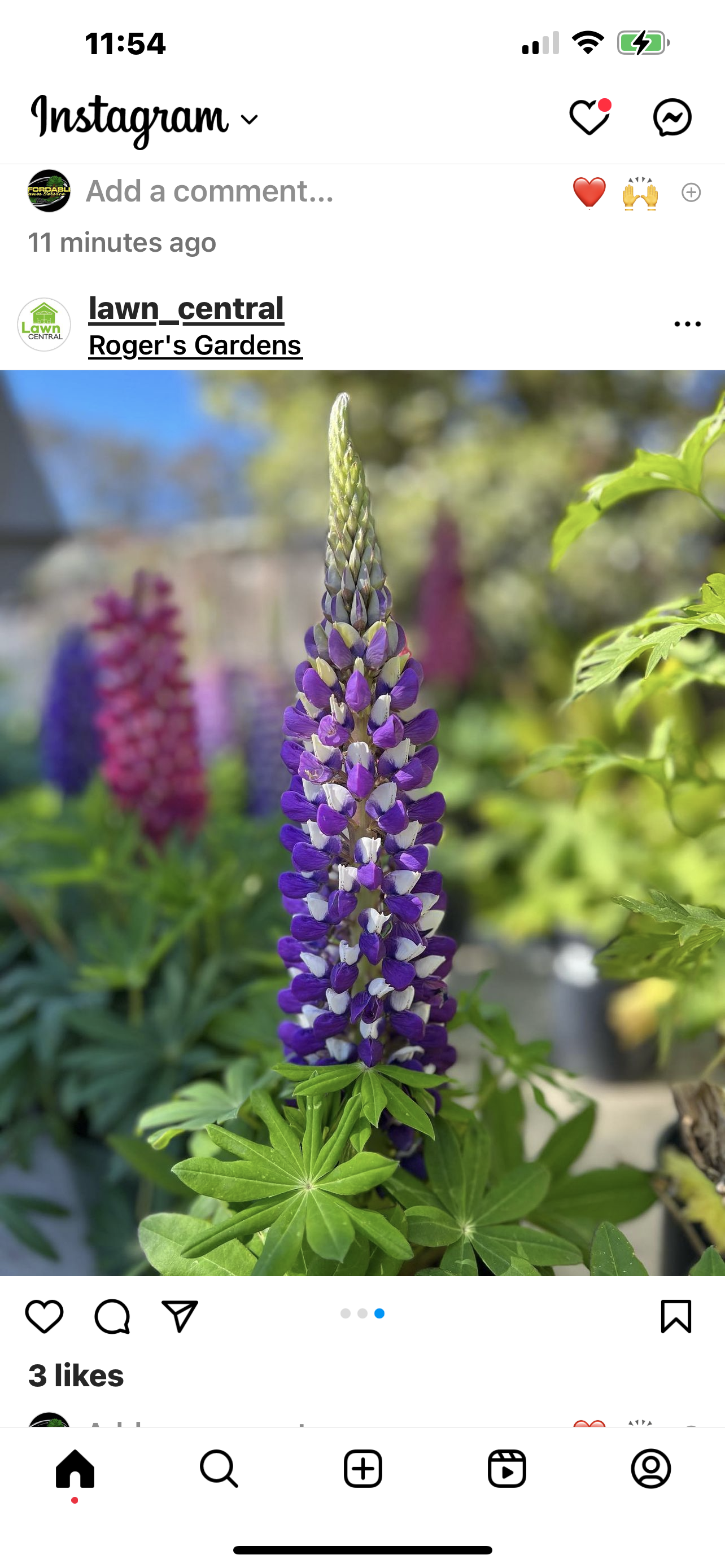 A close up of a purple flower on a phone screen.
