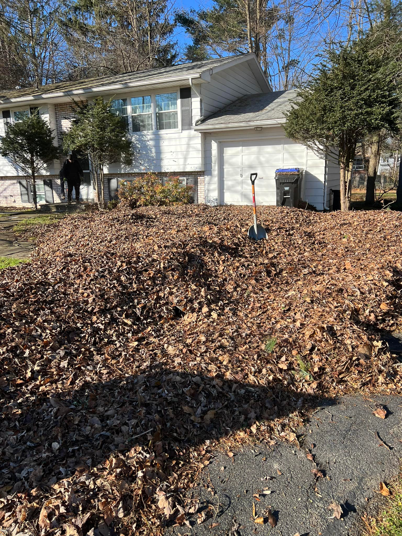 A pile of leaves is sitting in front of a house.