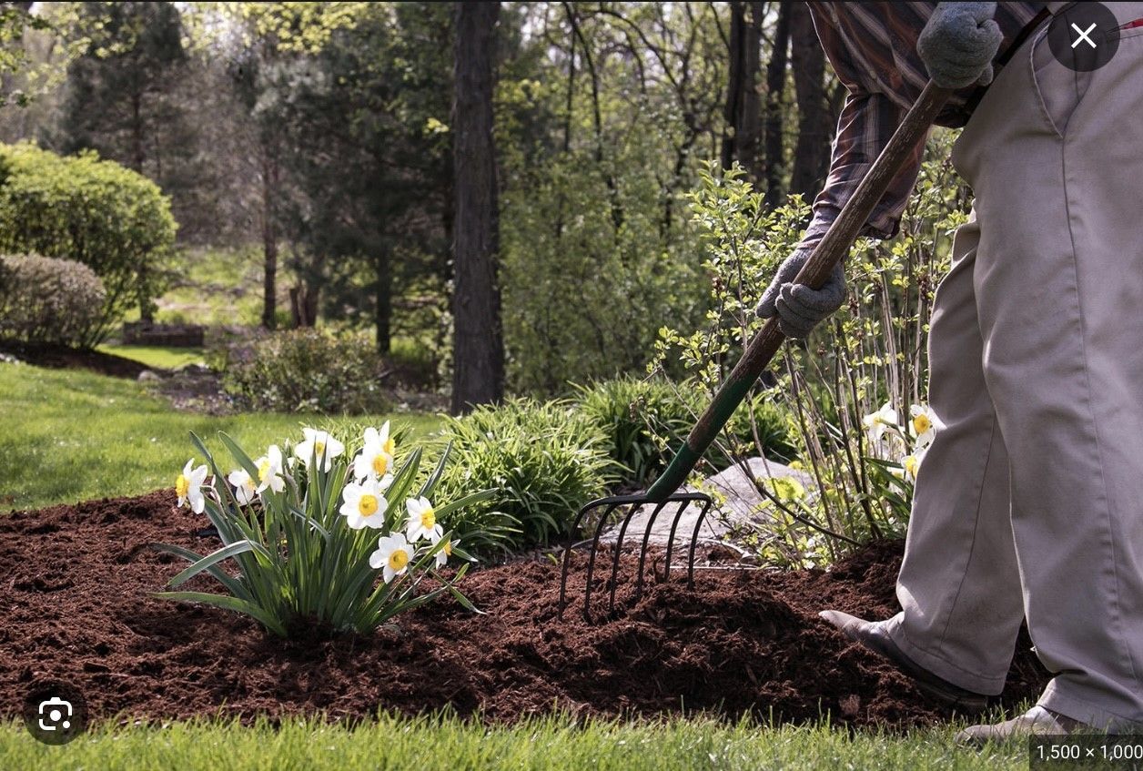 A person is raking a pile of mulch in a garden