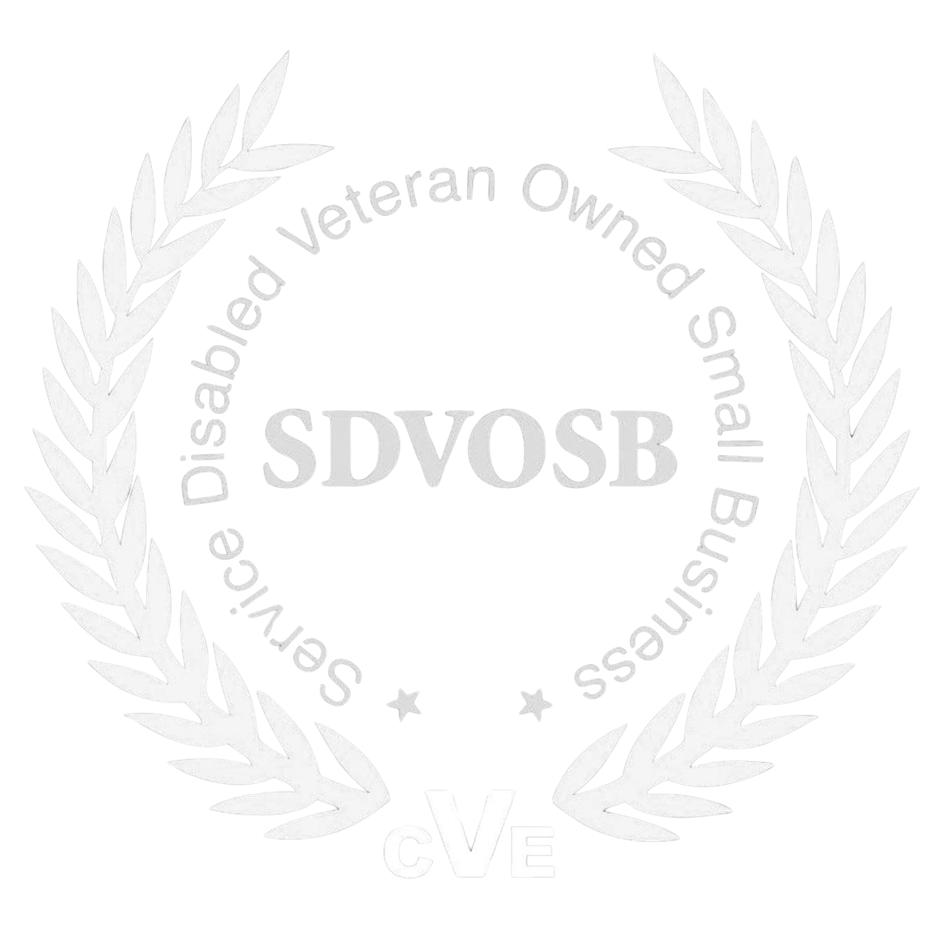 Service Disabled Veteran Owned Small Business