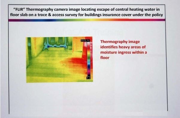 Thermograghy picture