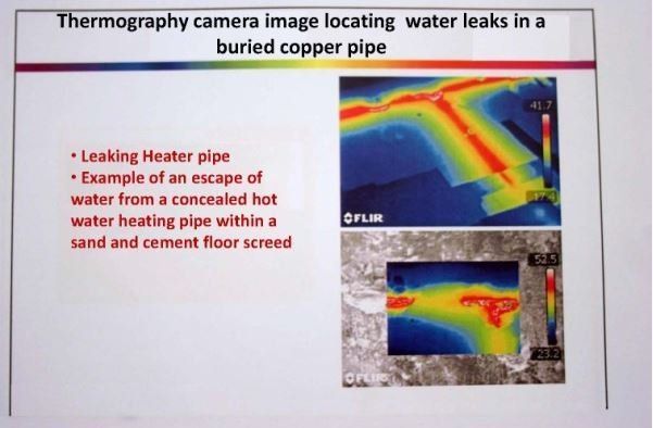 thermograghy picture