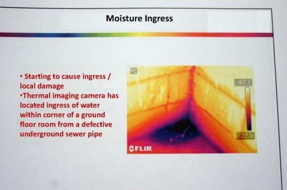 thermograghy image