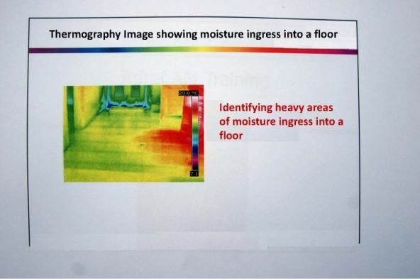 thermograghy image