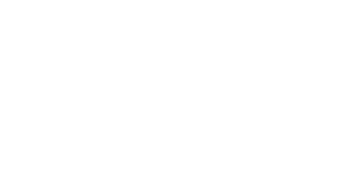 WNY Chimney logo