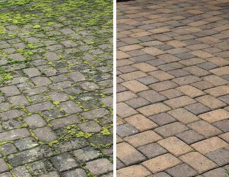 Side-by-side cobblestone paving: mossy gray stones on the left, clean tan pavers on the right.