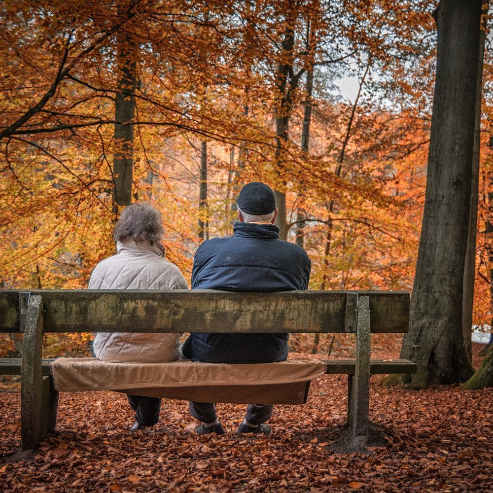 Two people sitting on a park bench, backs to the viewer, amid autumn foliage.