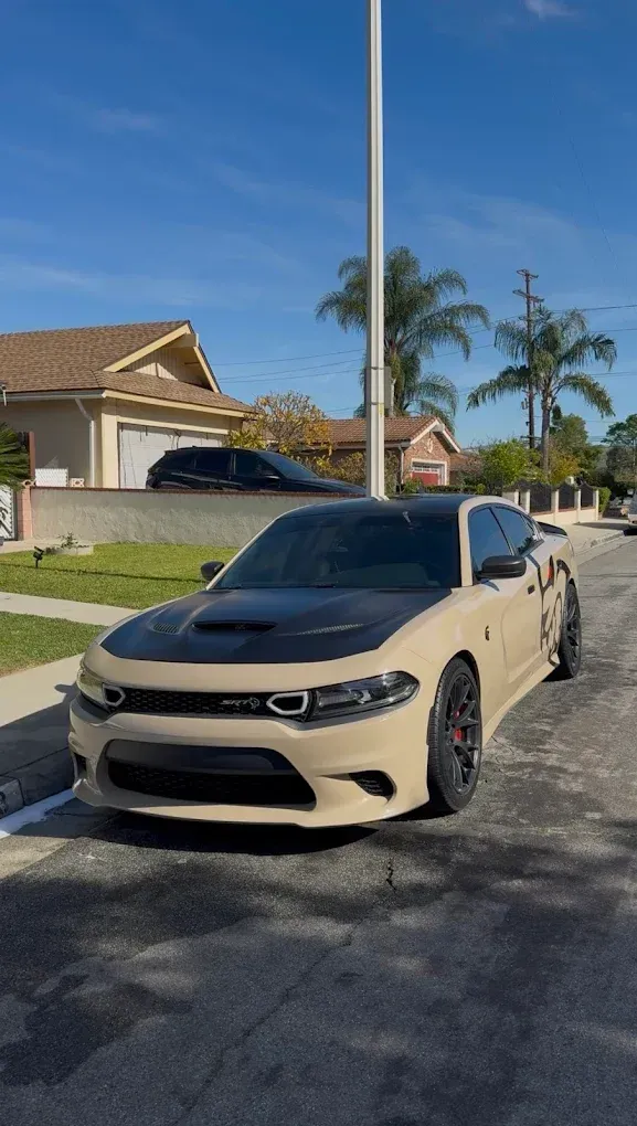 Beige sports sedan parked on a sunny suburban street with palm trees and houses nearby