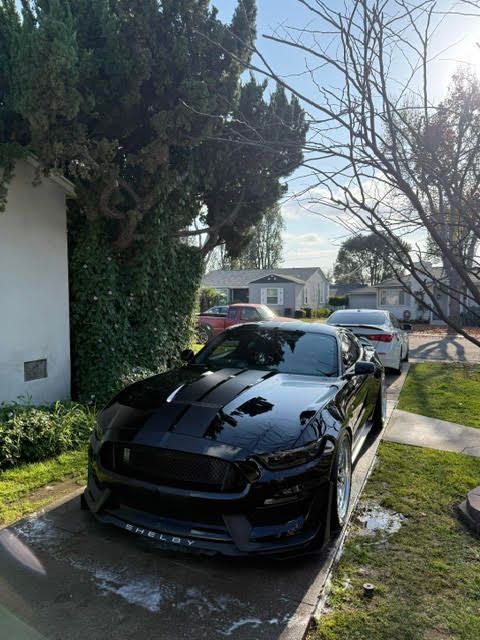 Black sports car parked in a narrow residential driveway beside a house and leafless trees.