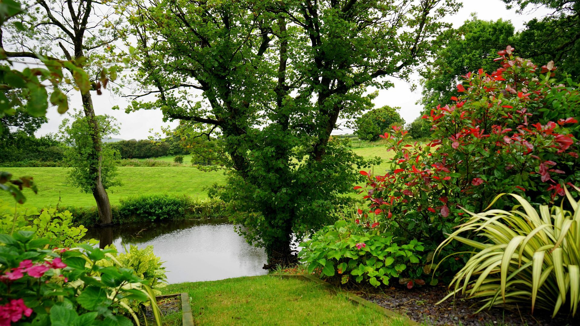 A tranquil garden scene featuring a small pond, a large green tree, lush shrubs, and a field under a bright, cloudy sky.