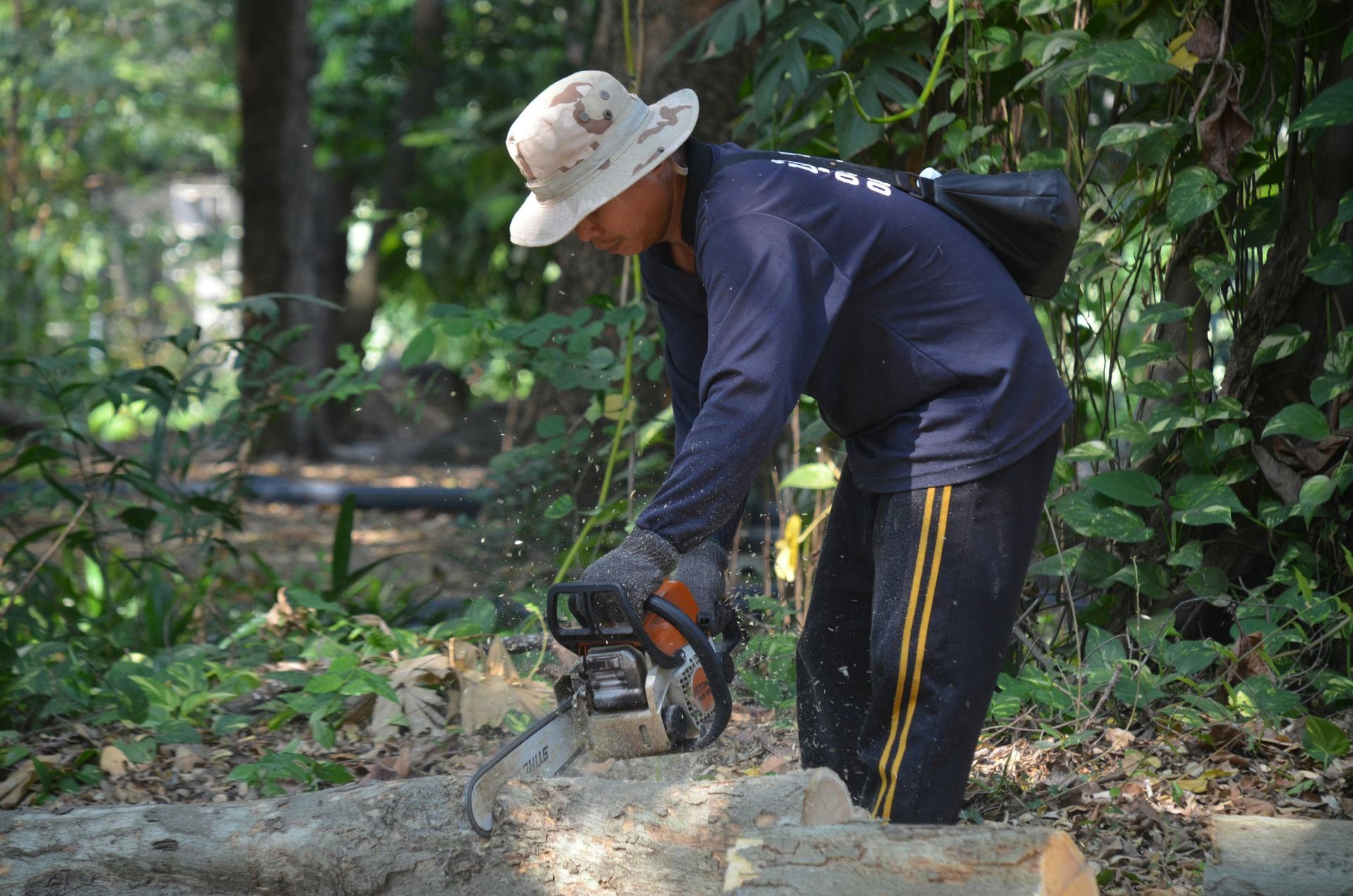 A person wearing a sun hat and dark clothing uses a chainsaw to cut a fallen log in a wooded area.