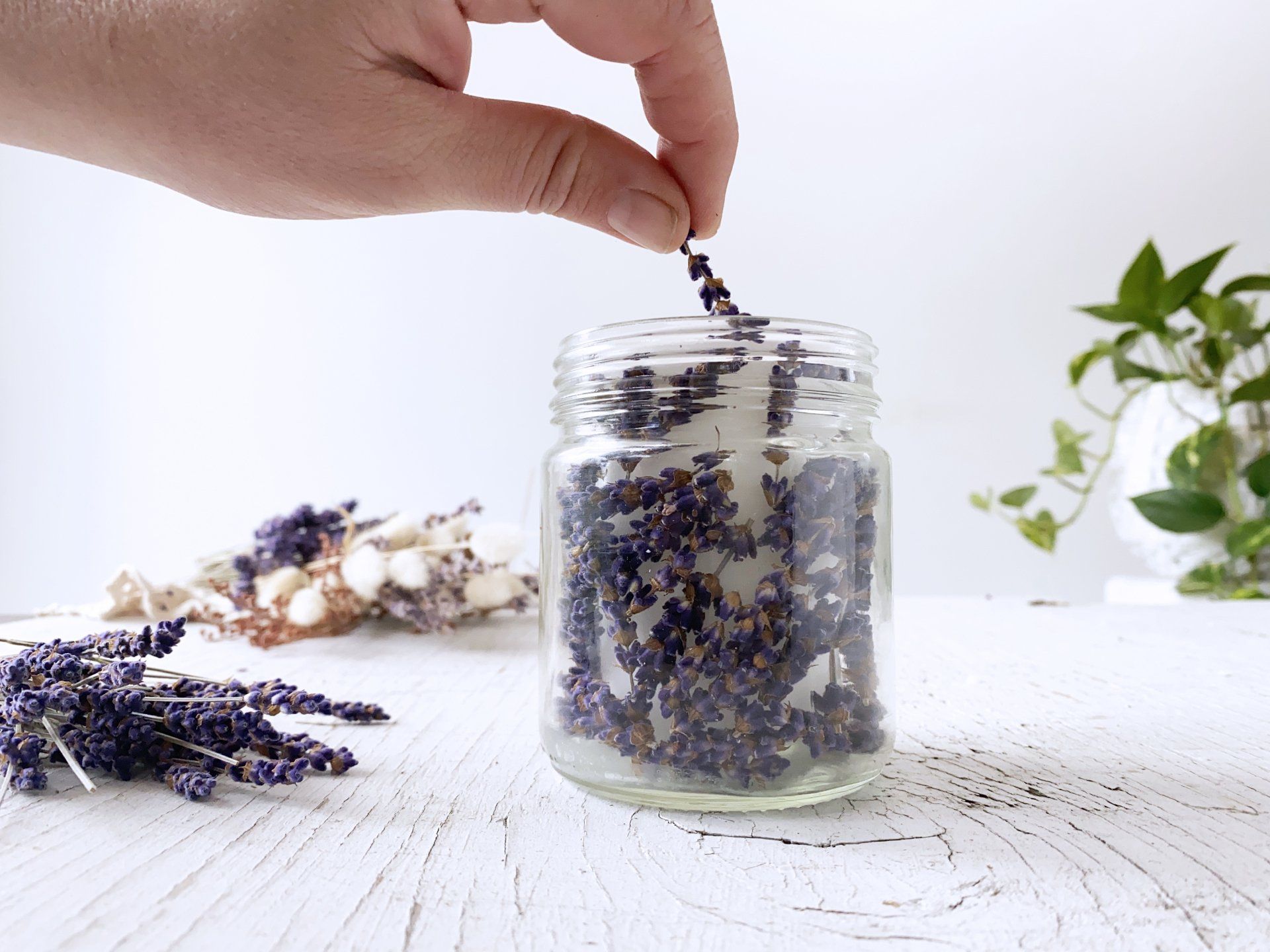 Divine Scents DIY Lavender & Rosemary Candles