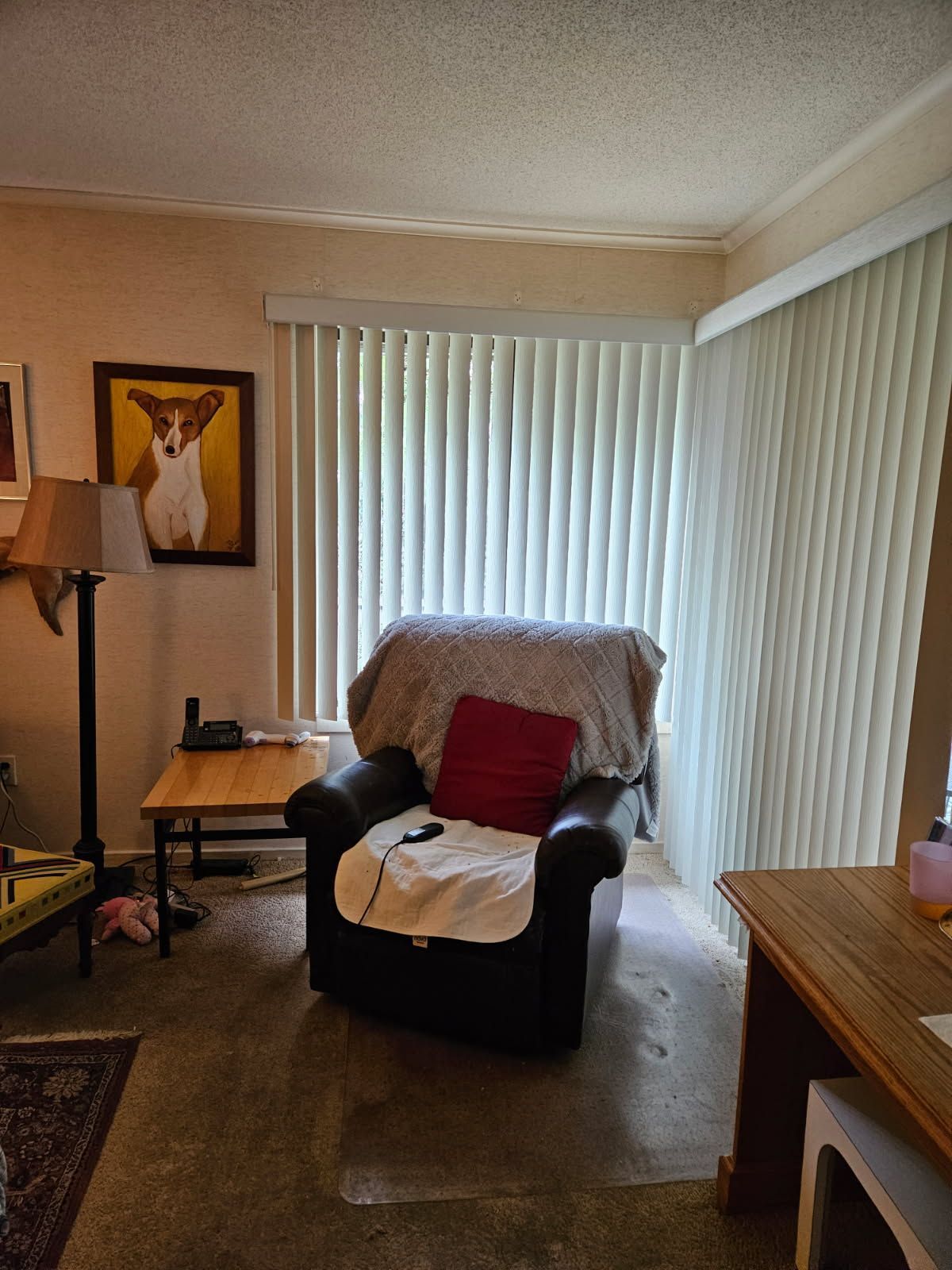 A dark leather armchair with a red throw pillow and a light blanket sits in front of vertical blinds near a wooden table.