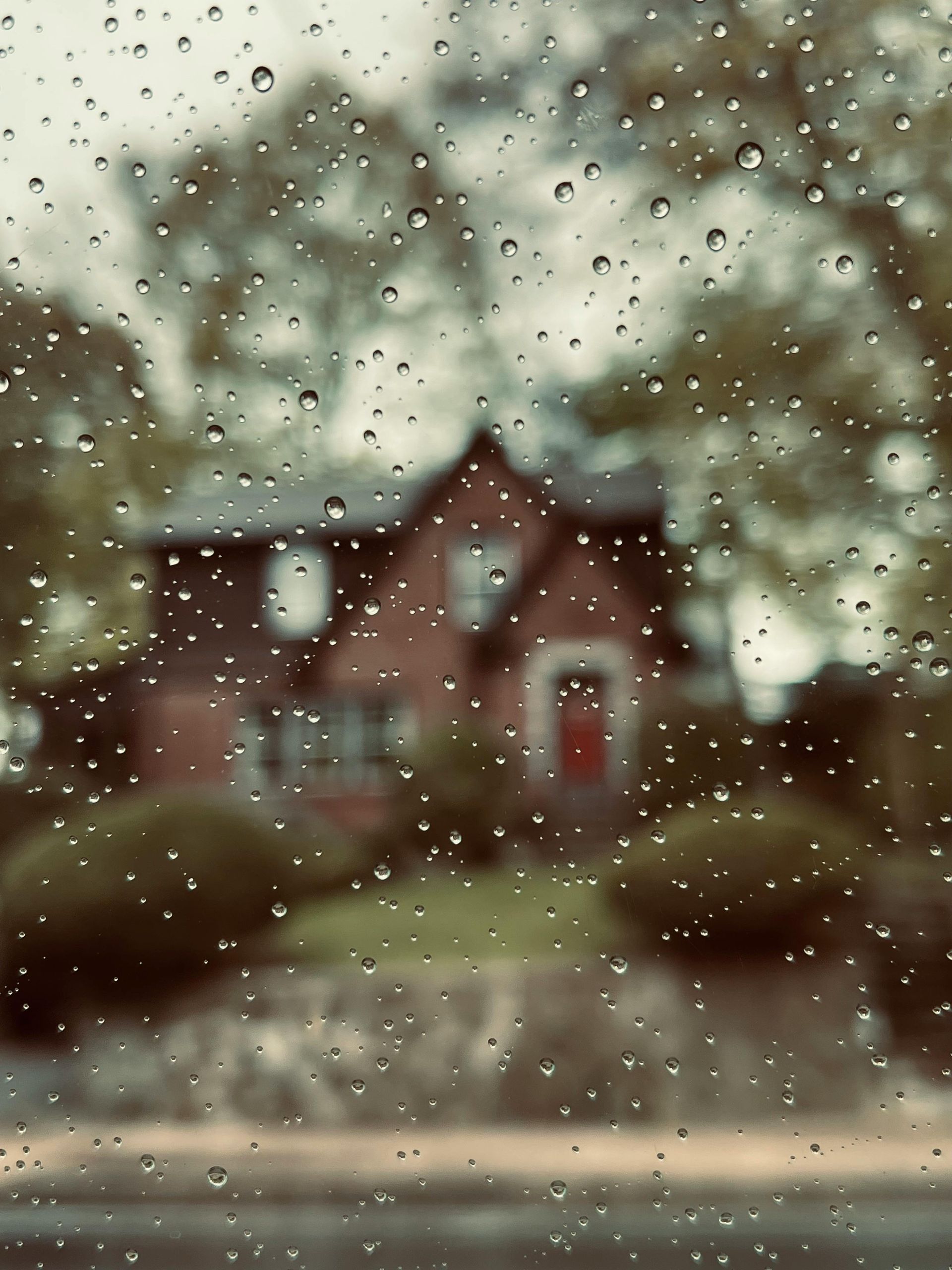 Learn how each season impacts your home and discover essential maintenance tips.
