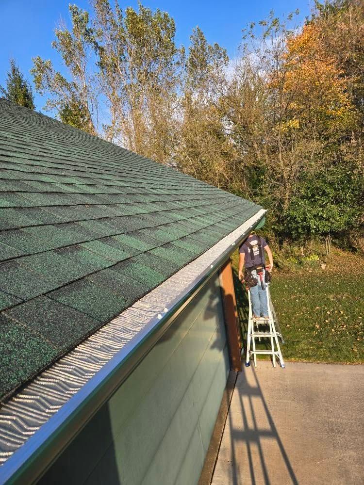 Person on a ladder cleaning the gutter beside a house with a green shingle roof in autumn