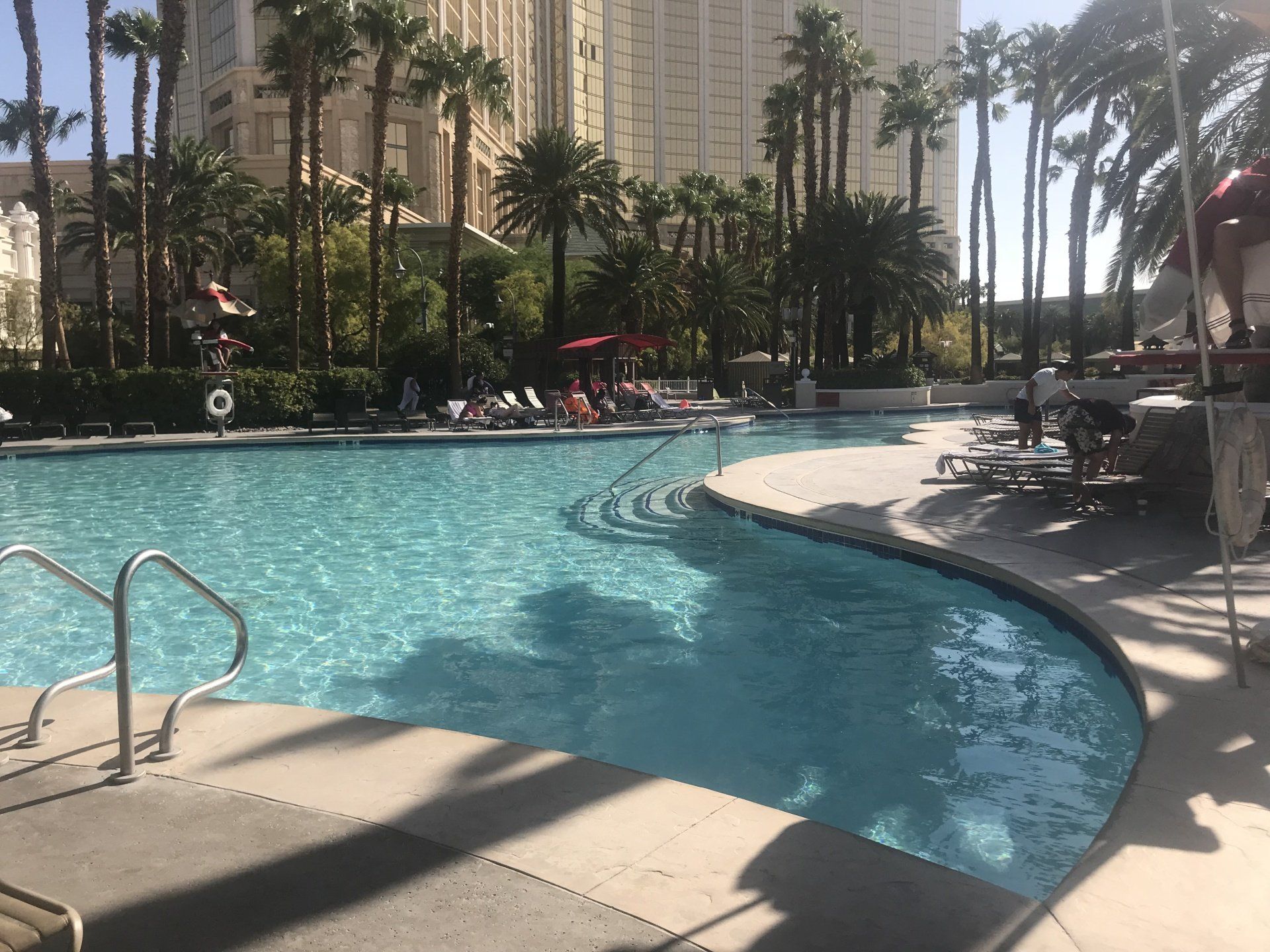 A large swimming pool with palm trees in the background