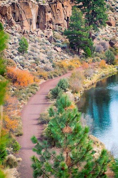 A path leading to a lake surrounded by trees and rocks.